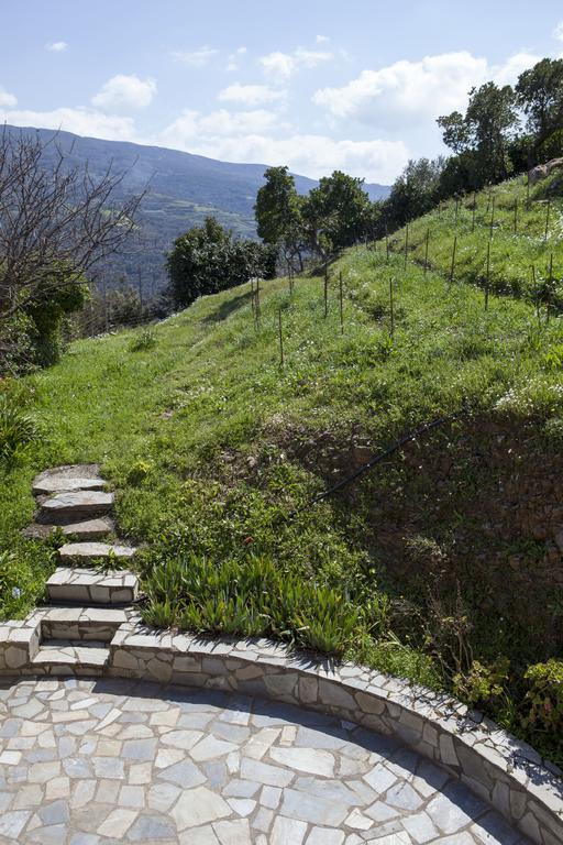 Kántanos Aori Hillside Villa מראה חיצוני תמונה