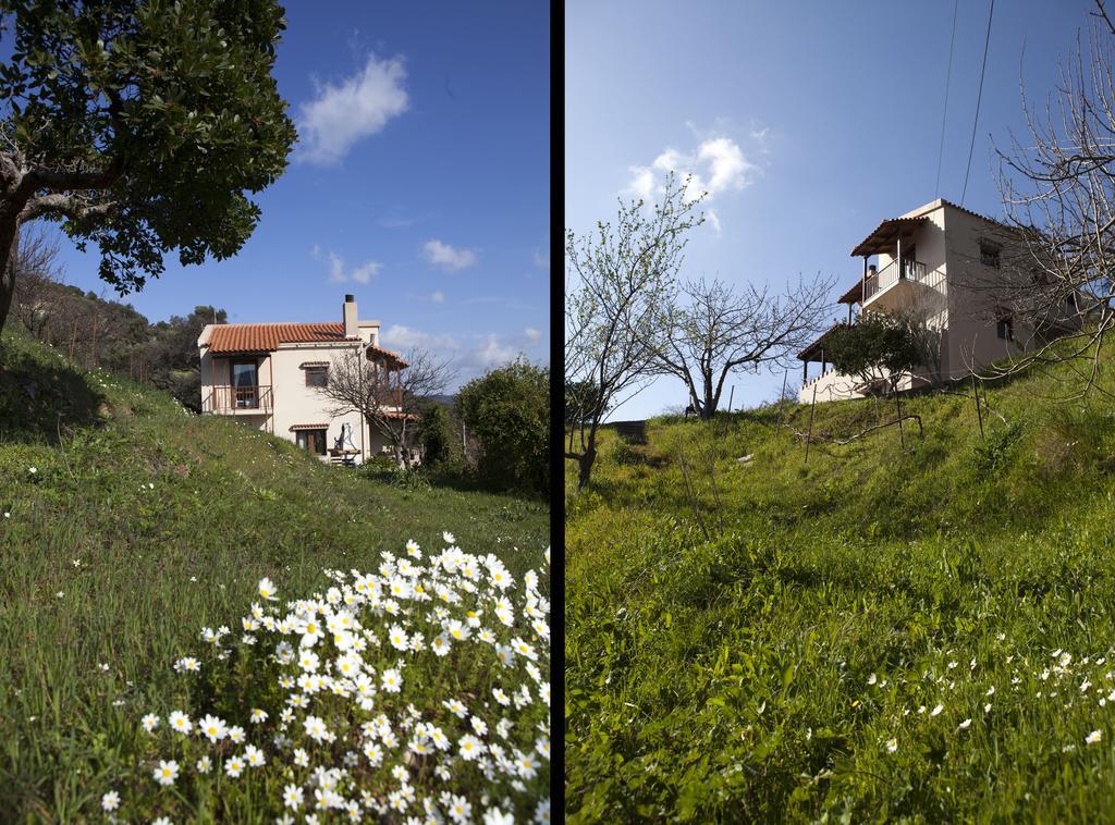 Kántanos Aori Hillside Villa מראה חיצוני תמונה