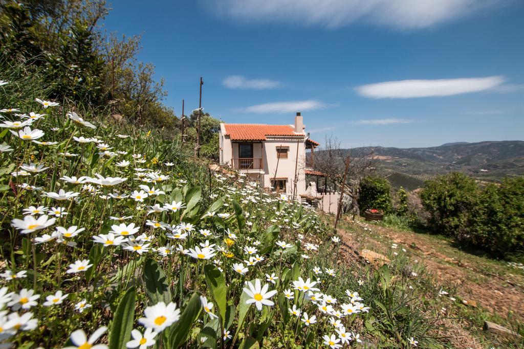 Kántanos Aori Hillside Villa מראה חיצוני תמונה